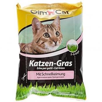 Gimpet Cat Grass 100g