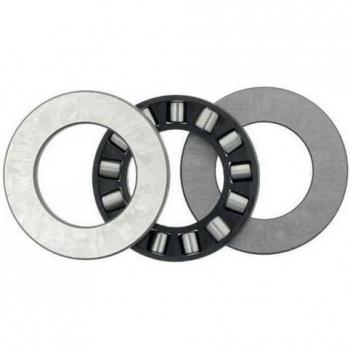 SKF 81105 TN – High‑Load Cylindrical Thrust Bearing