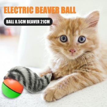 Electric Chasing Ball for Dog and Cat Agility Training