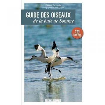Guide Des Oiseaux De La Baie De Somme