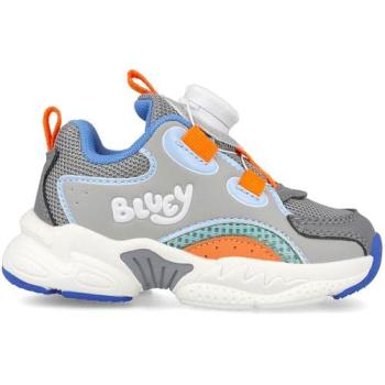 Gray Velocity Boy's Training Shoes Garvalin