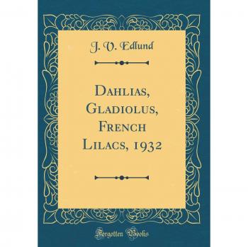 Dahlias, Gladiolus, French Lilacs, 1932