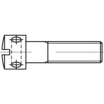 Reyher M3x6 Schraube – 100‑Pack