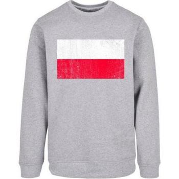 Herren Kapuzenpullover F4NT4STIC in erdgrau