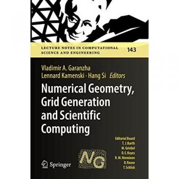 Numerical Geometry Grid Generation and Scientific Computing