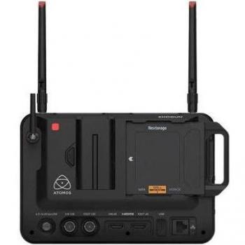 Moniteur Atomos Shogun Connect 7''