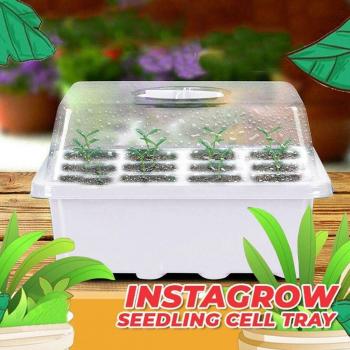Plateau Floraison 12 Trous – Germination Rapide