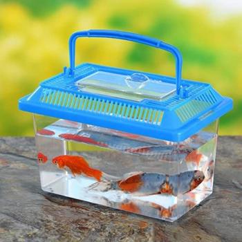 Fish Tank
