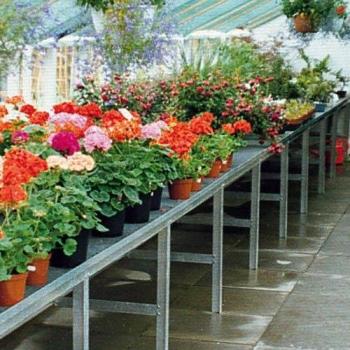 Elliott Heavy Duty Greenhouse Bench