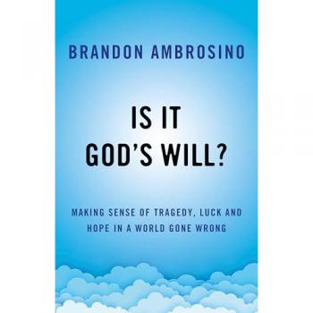 Is It God's Will? : Making Sense of Tragedy, Luck, and Hope in a World Gone Wrong
