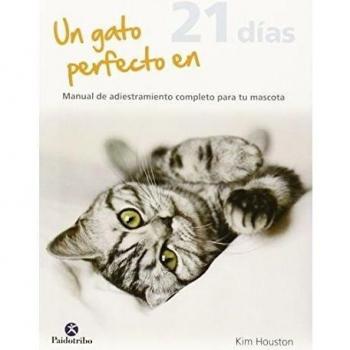 Un gato perfecto en 21 días