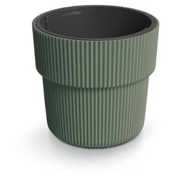 Milly Pino Verde DBMIR400-2411U