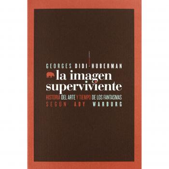 LA IMAGEN SUPERVIVIENTE