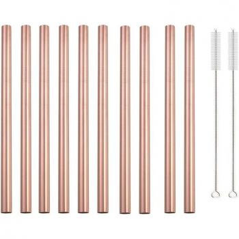 Juego de 10 pajitas reutilizables de acero inoxidable