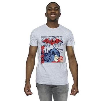 Chemise à manches longues DC Comics BI15250