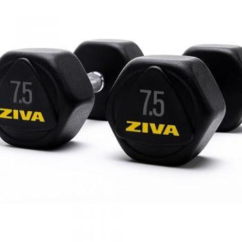 Masse Ziva 7,5 kg en forme hexagonale