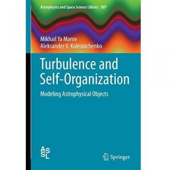 Turbulence and Self-Organization: Modeling Astrophysical Objects