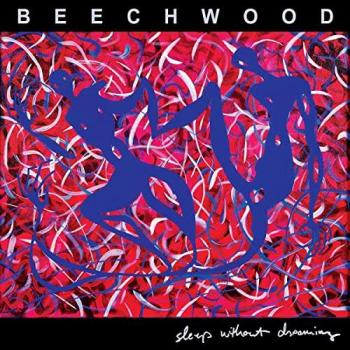 Disque Vinyle Rouge Transparent Sleep Without Dreaming