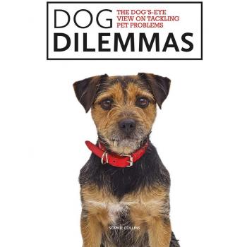 Dog Dilemmas: The Dog's-Eye View on Tackling Pet Problems