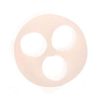 Ghiere PG21 con inserto di tenuta 3x8 mm Silicone Naturale 50 pz