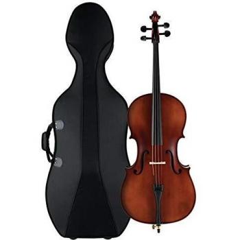 Classic Cantabile Brioso Cello 3/4 Set