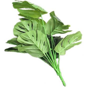 Simulation Green Turtle Leaf Plants