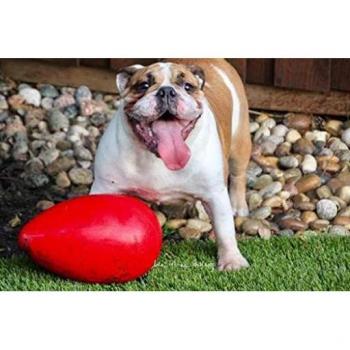 Jolly Pets Interaktives Jolly Egg