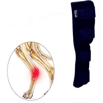 Pet Hock Injury Recovery Brace
