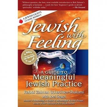 Jewish With Feeling: A Guide to Meaningful Jewish Practice