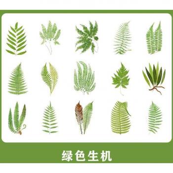 Floral and Plant Washi Stickers