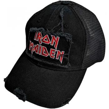 Distressed Logo Trucker Beanie