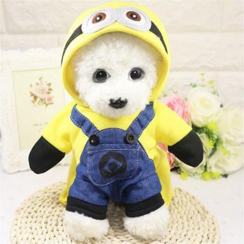 Atuendo acogedor para perros pequeños