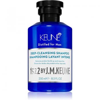 Shampoing Keune 1922 250 ml