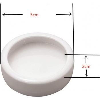 Mini Reptile Feeder Bowl