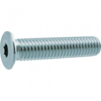 TRUSCO Ultra Kompakt SUS Zylinderschraube 5 Stück M6×20 Y311-0620