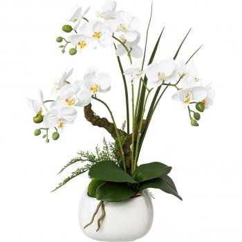 Deko-Orchidee Phalaenopsis in hochwertigem Keramiktopf