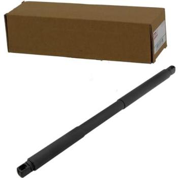 Kofferraumdämpfer hinten links NTY AE-ME-088