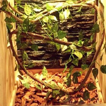 Flexible Jungle Climber Vines