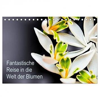 Fantastische Reise in die Welt der Blumen (Tischkalender 2025 DIN A5 quer) CALVENDO Monatskalender