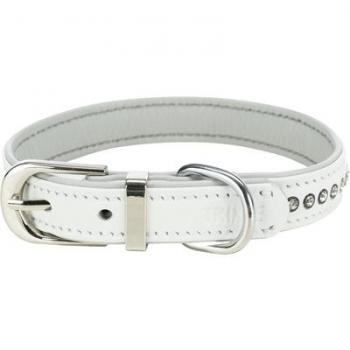 Trixie Aktiv-Komfort Hundehalsband & Leine – S