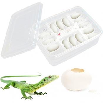 Incubateur à œufs pour reptiles