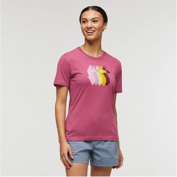 Cotopaxi Llama Sequence Damen T-Shirt fuchsia