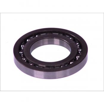 Rolamento 1 460 925 001 Bosch Original