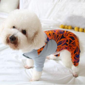 FurFashion Monos Novedad Otoño