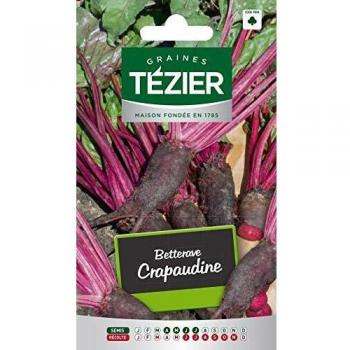 Tezier