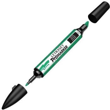 Letraset ProMarker Marqueur G657