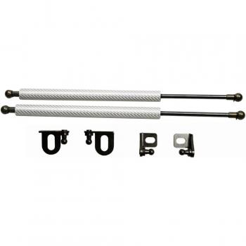 Struts de gaz en fibre de carbone pour capot avant Toyota Wish (AE20)