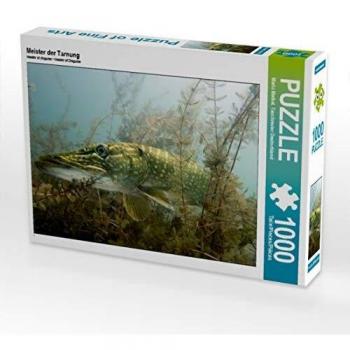 Camo Puzzle Adventure