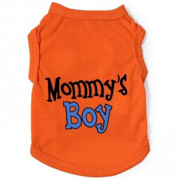 Perrito Playa Outfit