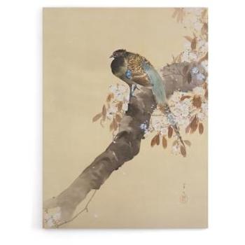Artery8 “Cherry Blossom Pheasant” Beige Canvas Wall Decor – 18 by 24